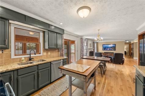 717 Wedgewood Drive Avon Lake OH 44012
