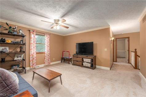 717 Wedgewood Drive Avon Lake OH 44012