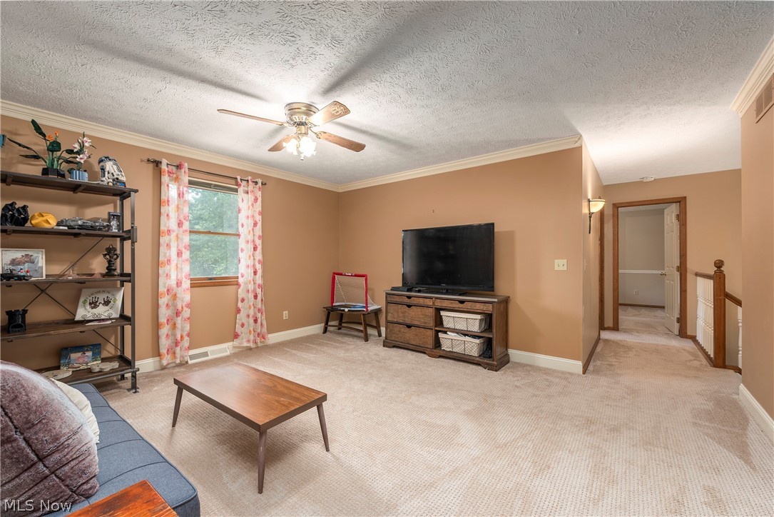 717 Wedgewood Drive Avon Lake OH 44012