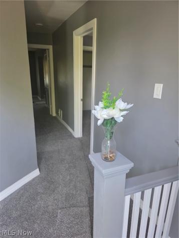 3557 E 114th Street Cleveland OH 44105