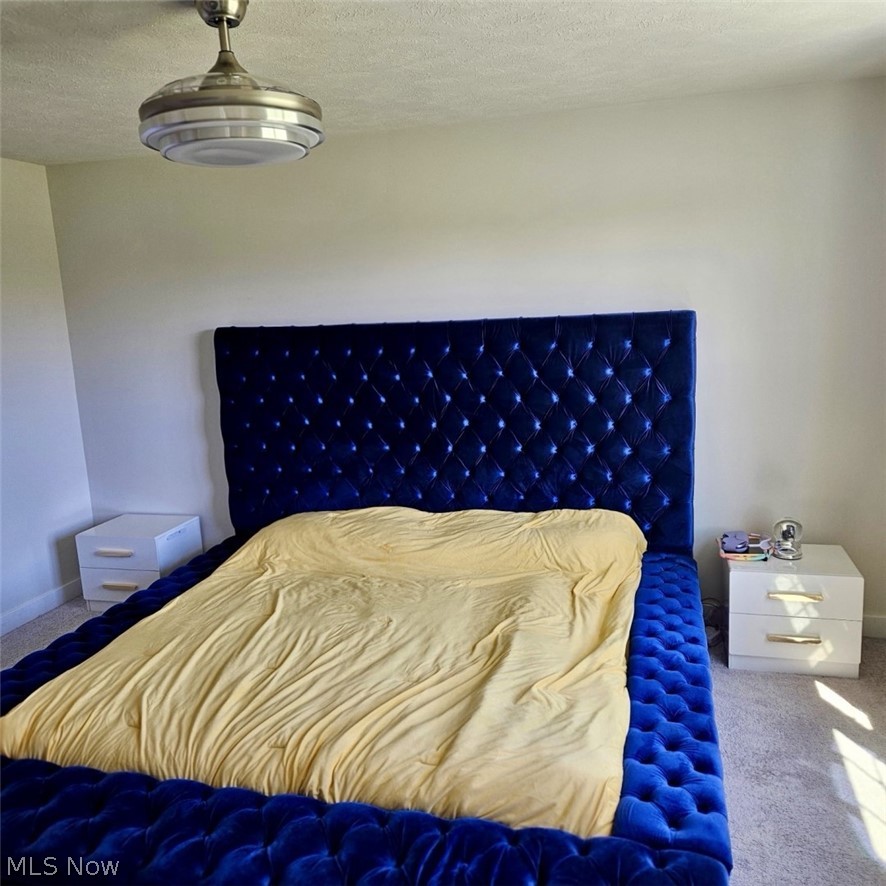 2091 Farroni Drive Willoughby OH 44094