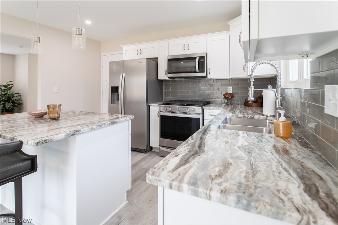 24431 Hartland Road Euclid OH 44123