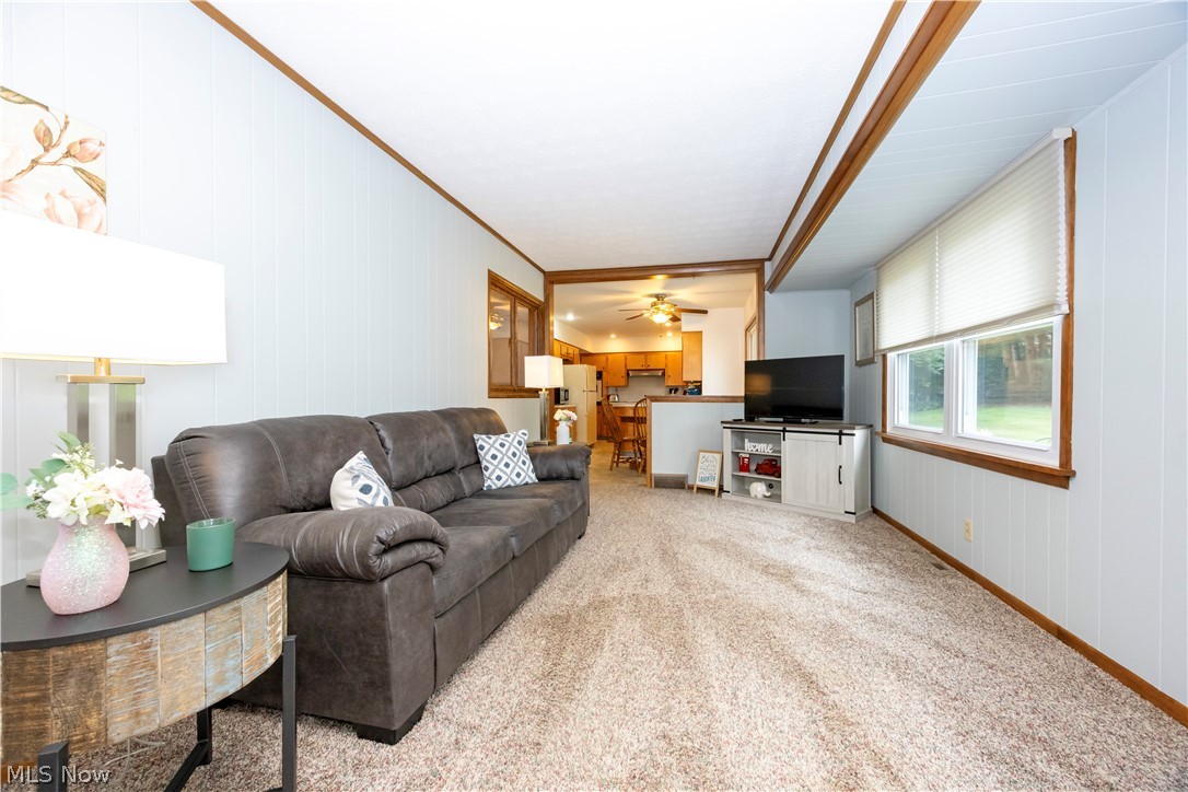 530 E Paradise Street Orrville OH 44667