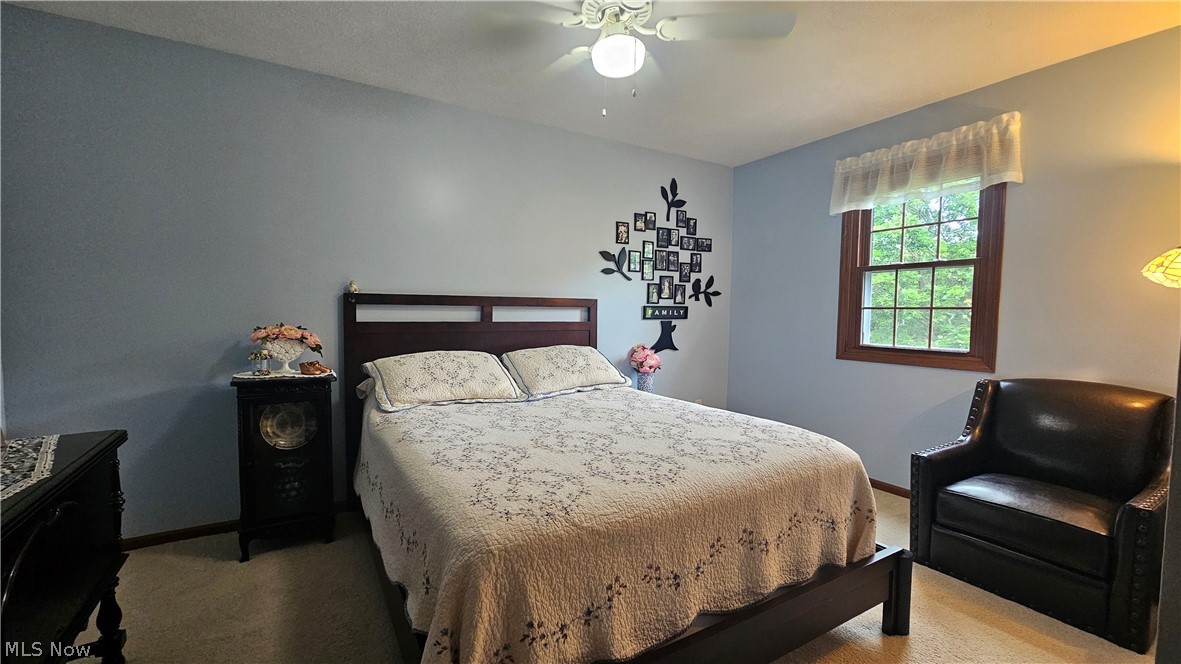 9325 Wyant Drive Mentor OH 44060