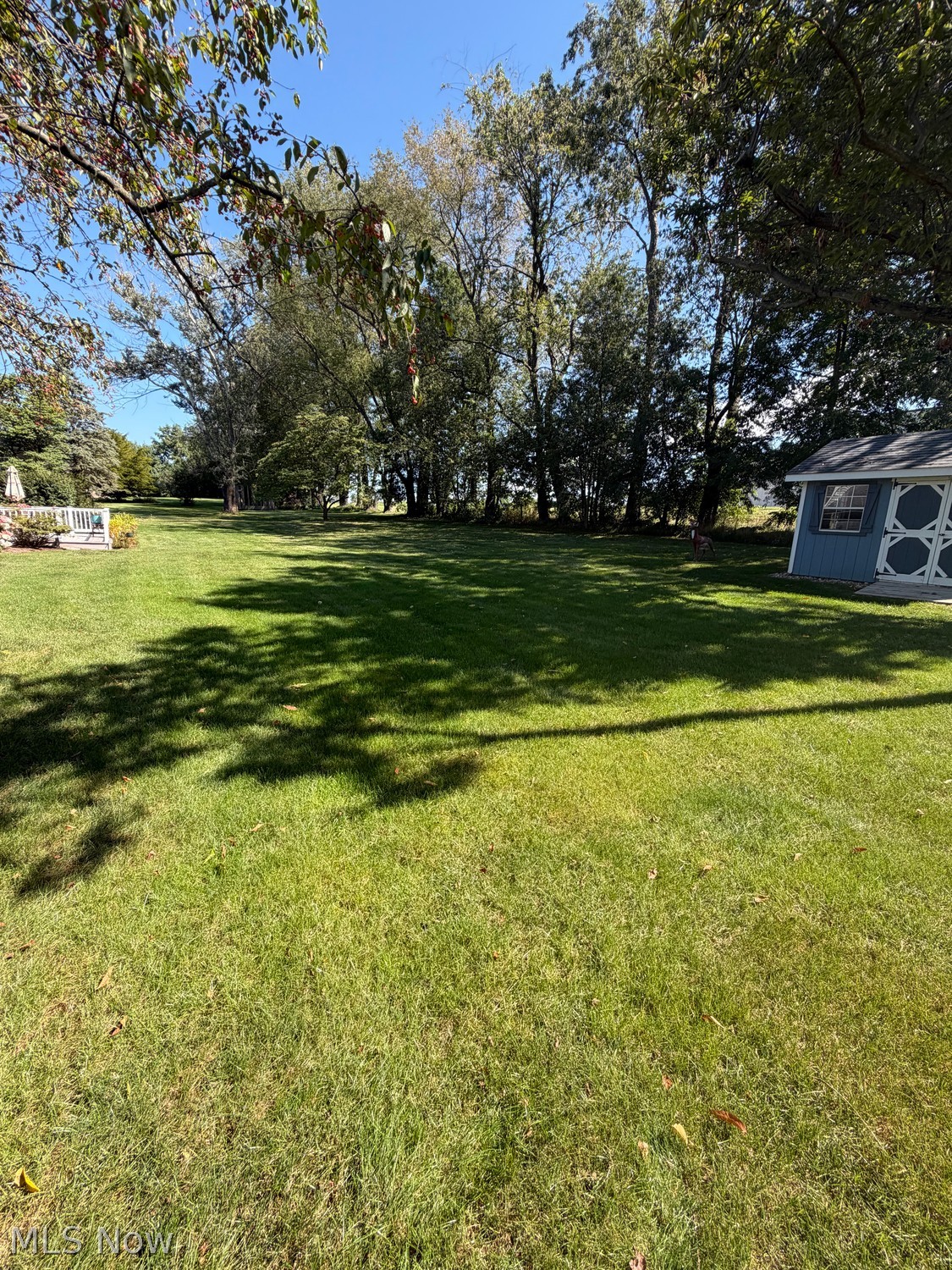 167 Pres' Vannes' Drive Dalton OH 44618
