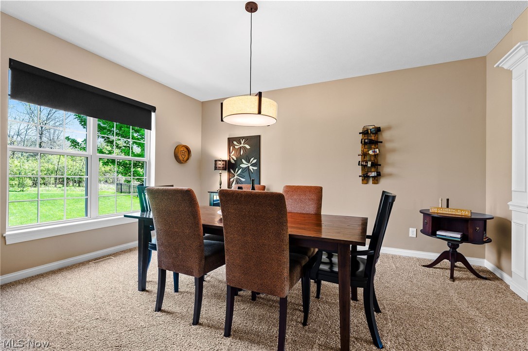 2886 Parnham Drive Medina OH 44256