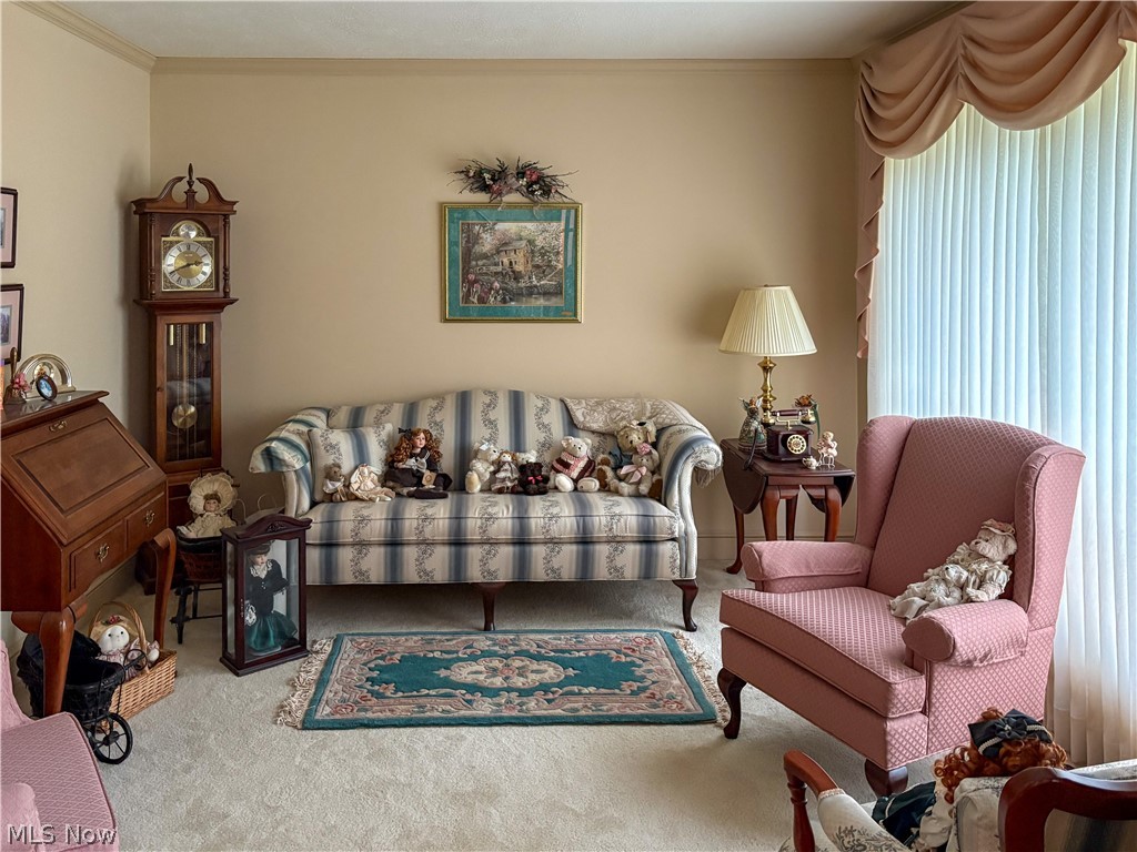 513 Park Ridge Drive Munroe Falls OH 44262