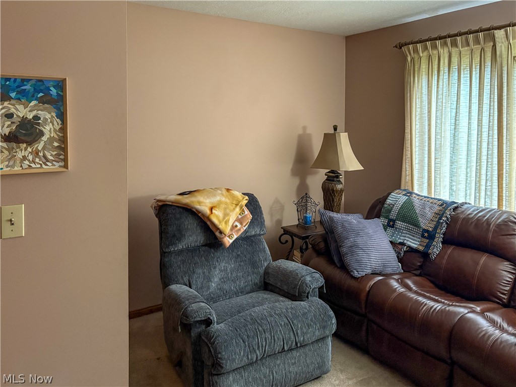 513 Park Ridge Drive Munroe Falls OH 44262