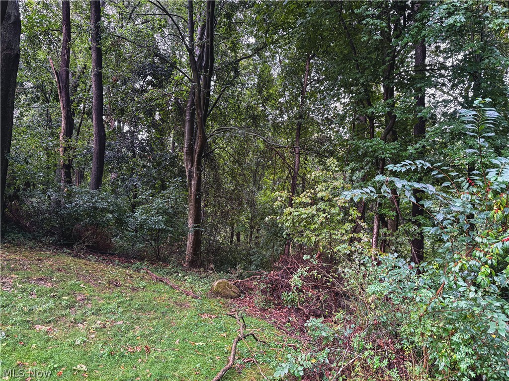 513 Park Ridge Drive Munroe Falls OH 44262