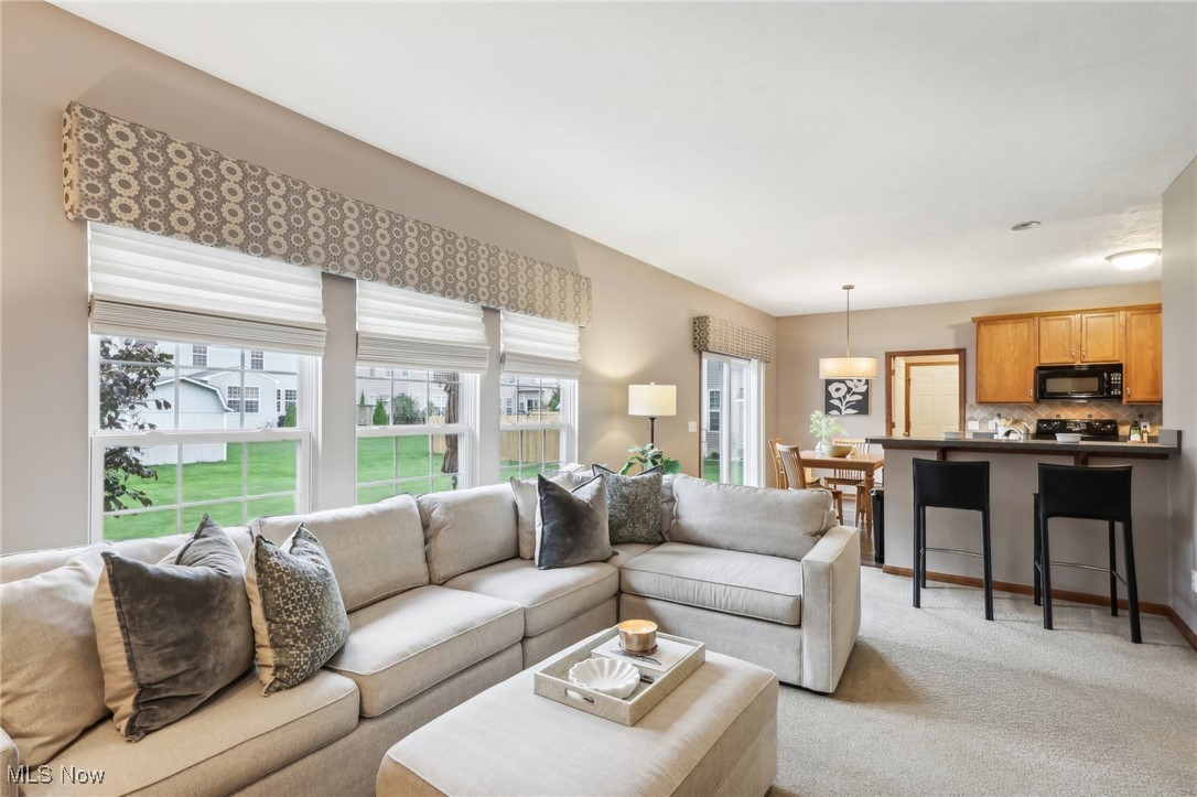 1684 W Ash Drive Avon OH 44011