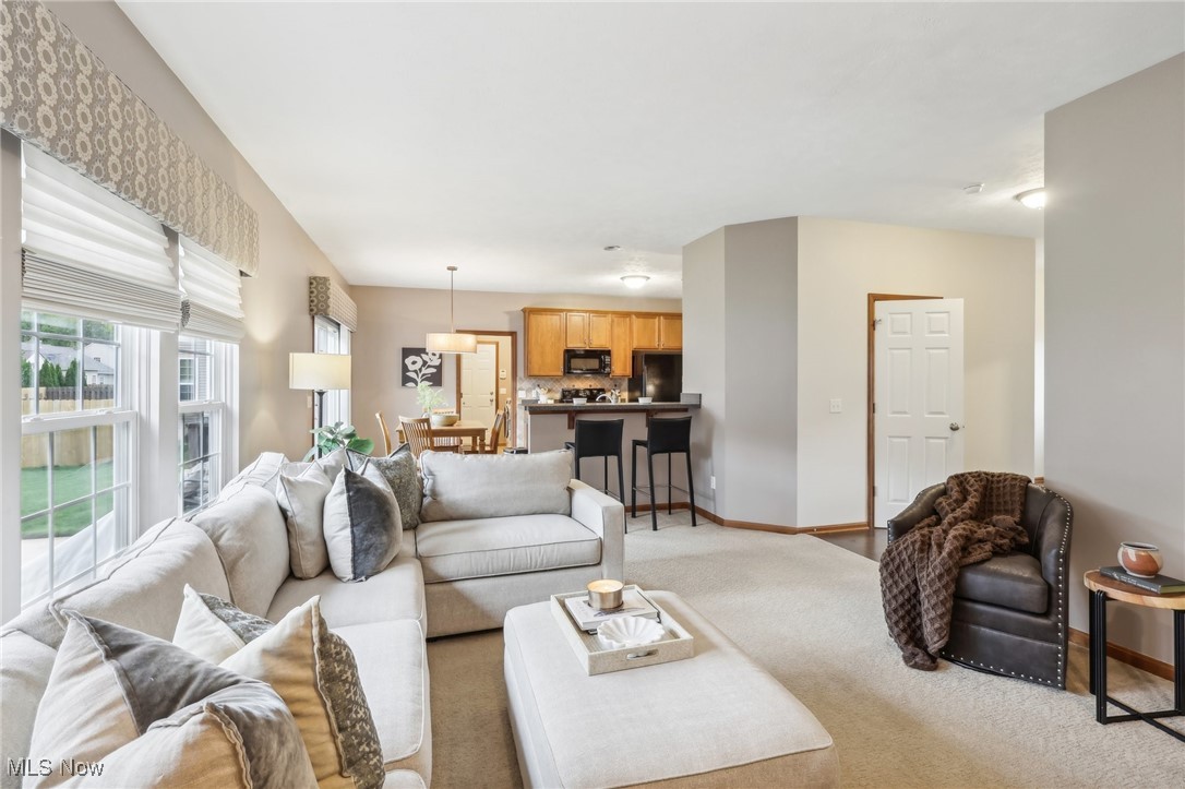 1684 W Ash Drive Avon OH 44011