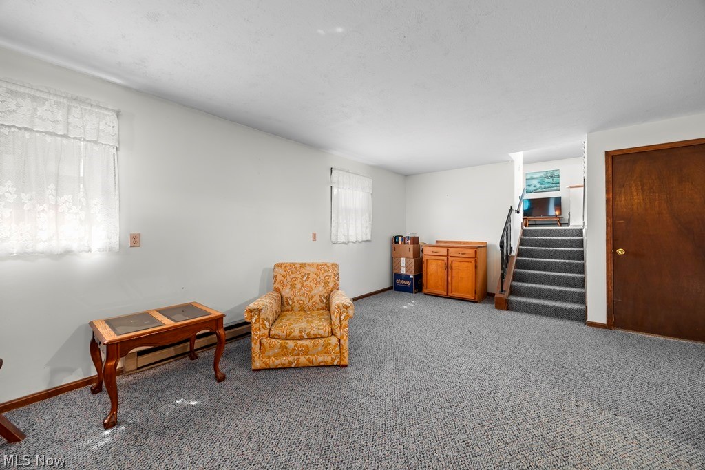 16741 Indian Hollow Road Grafton OH 44044