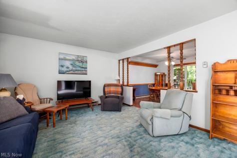 16741 Indian Hollow Road Grafton OH 44044