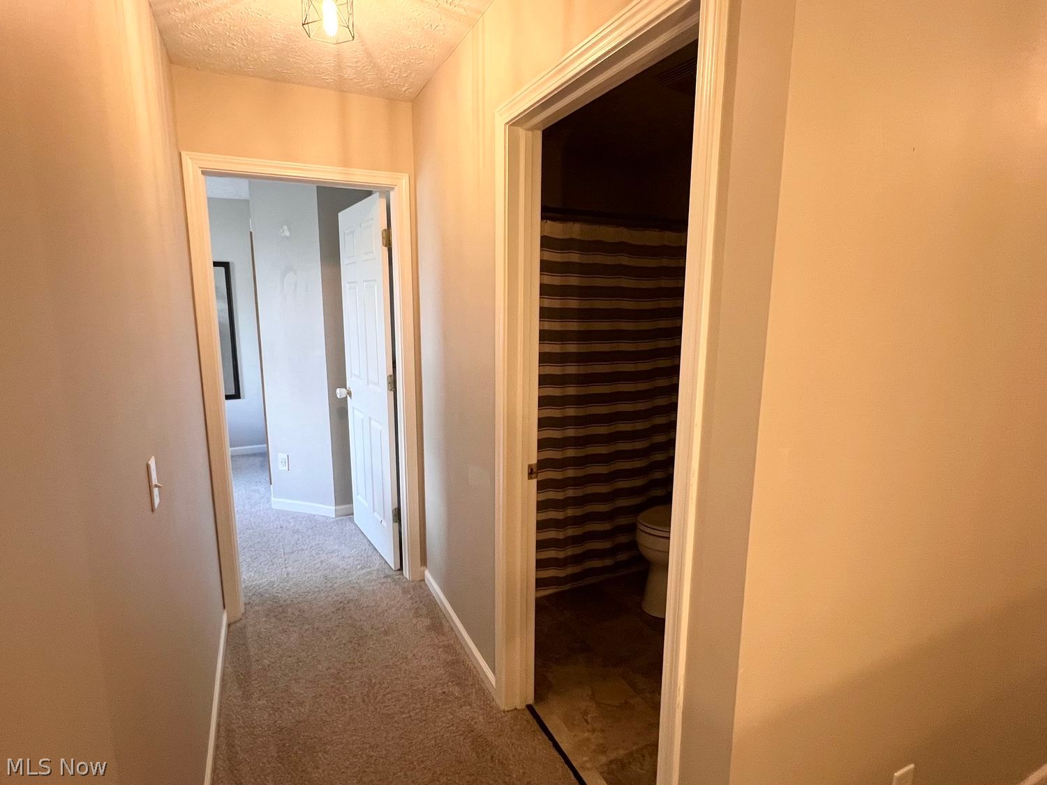 560 Parkside Reserve Street Wellington OH 44090