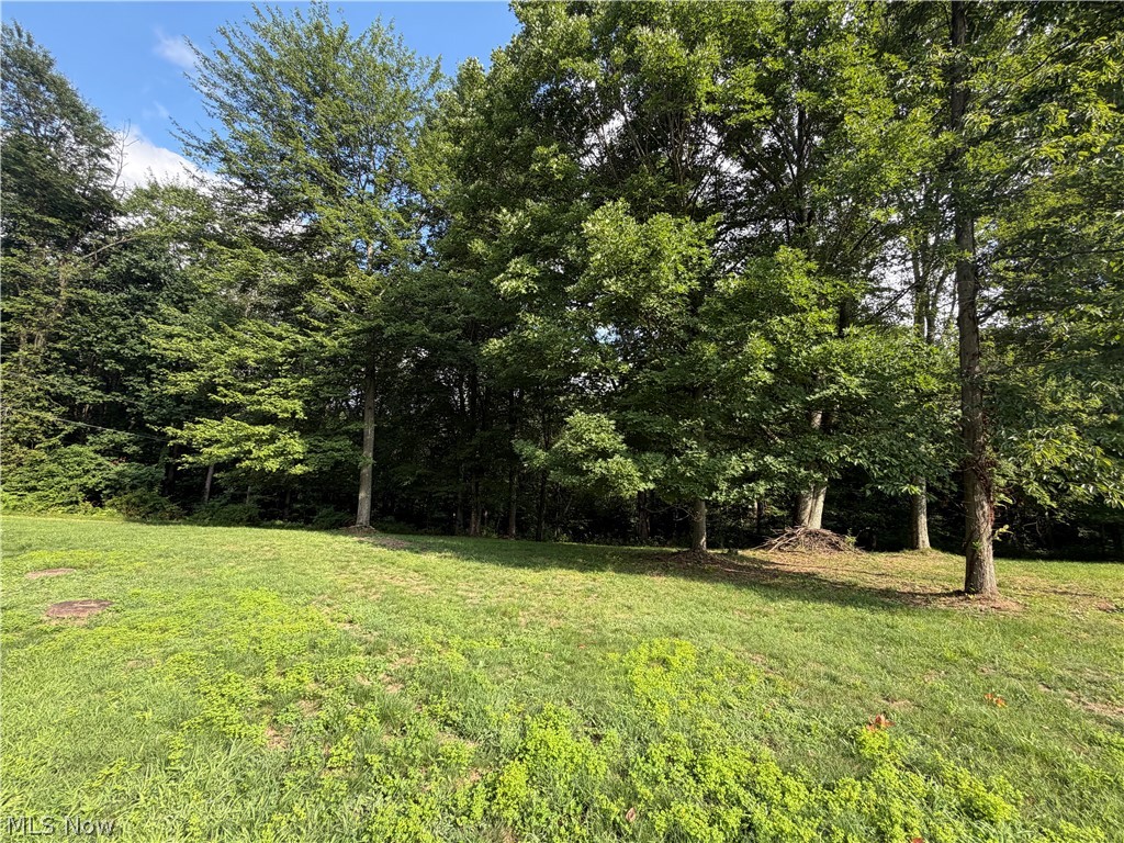 1080 Lumen Road NW Minerva OH 44657