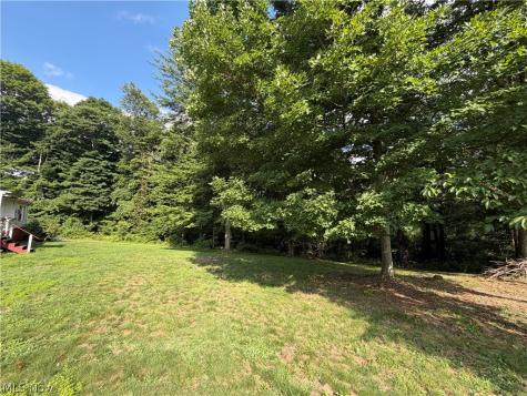 1080 Lumen Road NW Minerva OH 44657