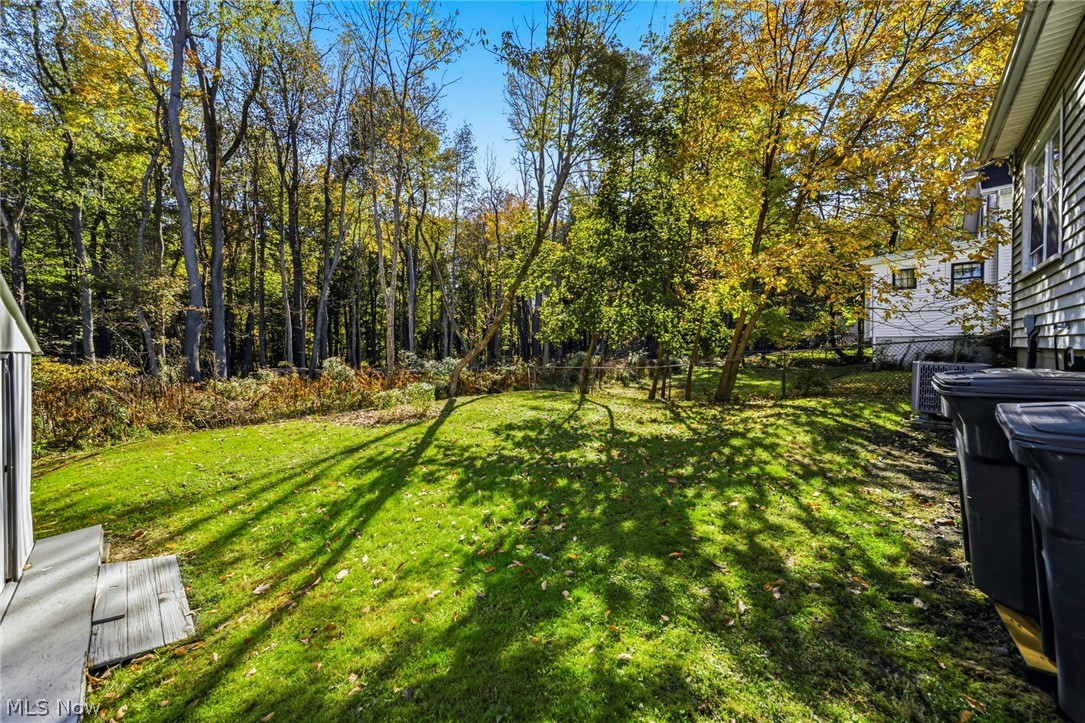 607 Sumatra Avenue Akron OH 44305