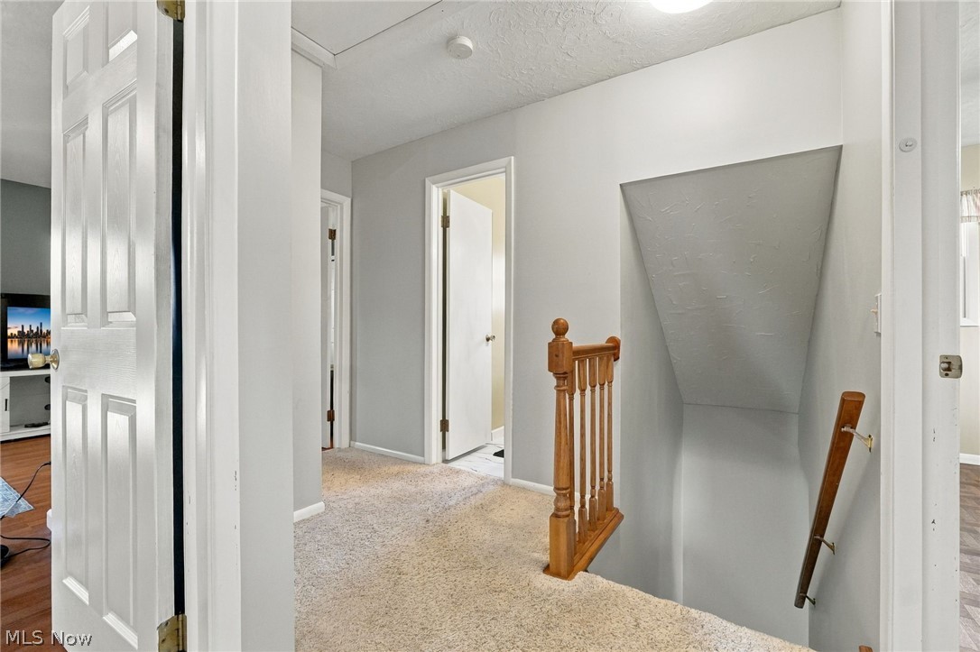 1277 Irene Road Lyndhurst OH 44124