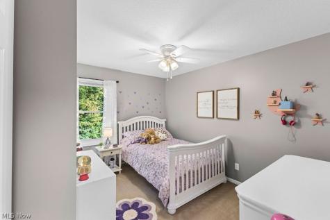 1065 Sparrow Run Streetsboro OH 44241