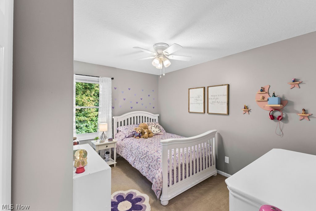 1065 Sparrow Run Streetsboro OH 44241
