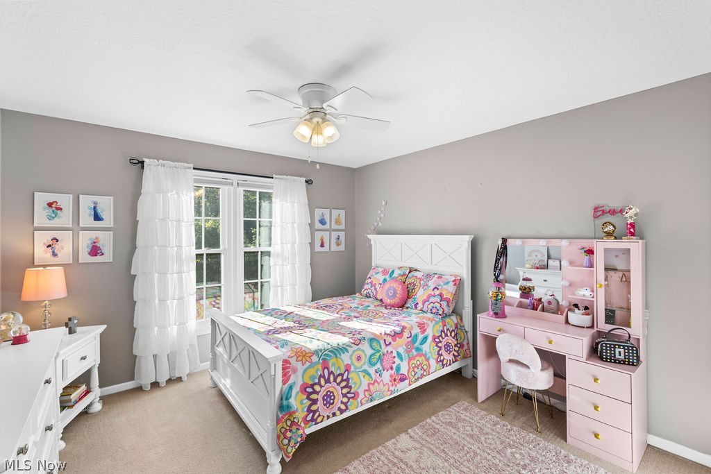 1065 Sparrow Run Streetsboro OH 44241