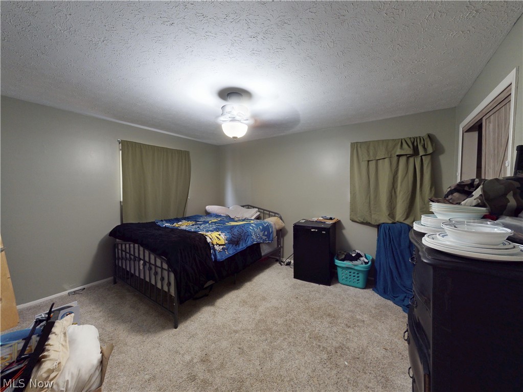 7109 W Jefferson Drive Mentor OH 44060