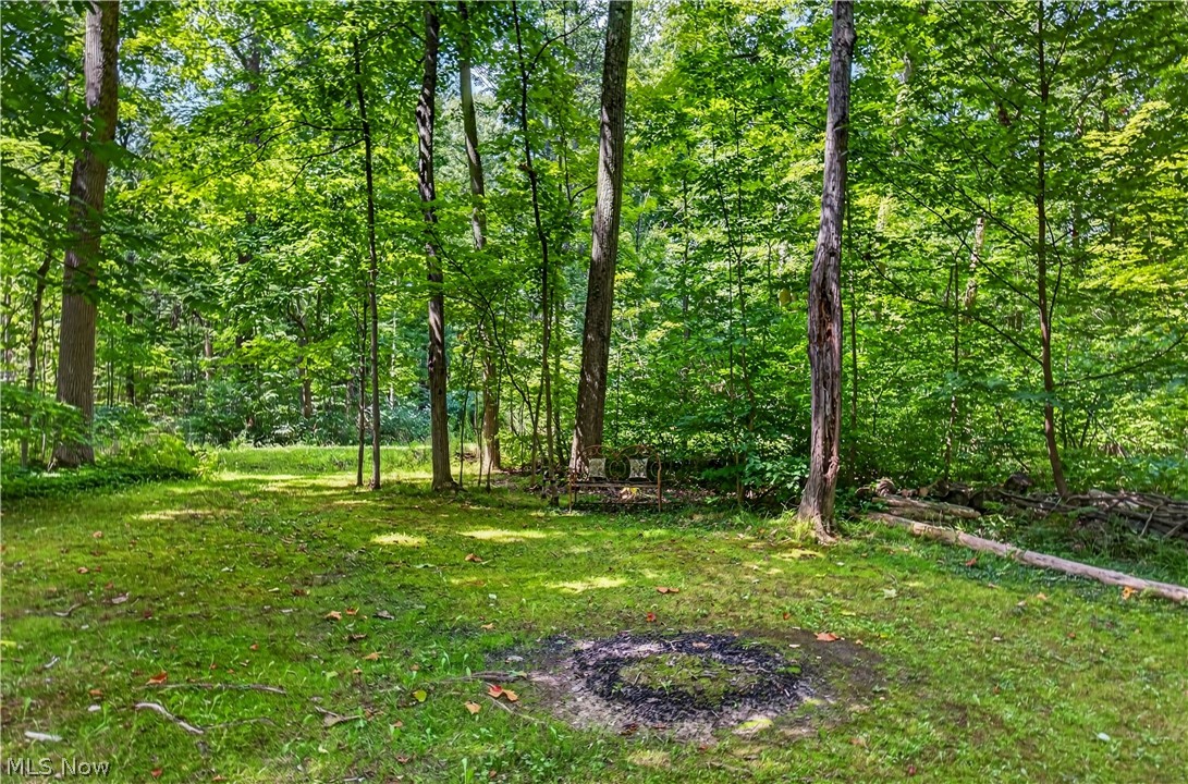 14012 Fox Hollow Drive Novelty OH 44072