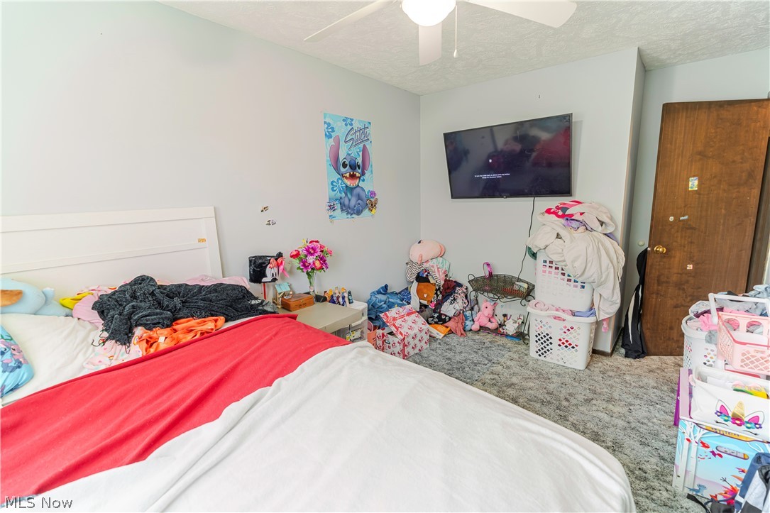 333 Kathleen Drive Jefferson OH 44047