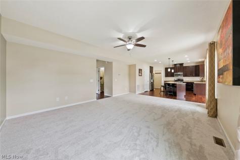 5484 Diamond Creek Drive Medina OH 44256