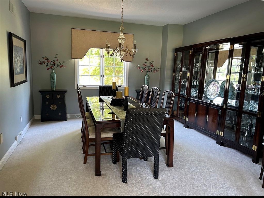 45 Russo Drive Canfield OH 44406