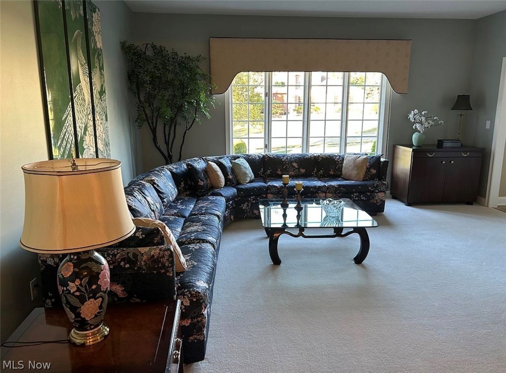 45 Russo Drive Canfield OH 44406