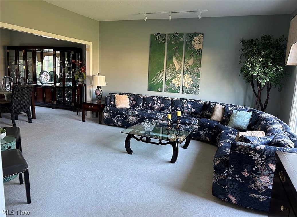 45 Russo Drive Canfield OH 44406