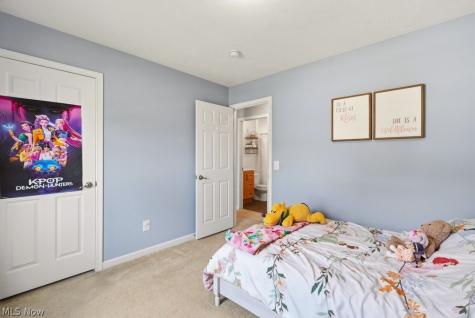8815 Kelly Lane Streetsboro OH 44241