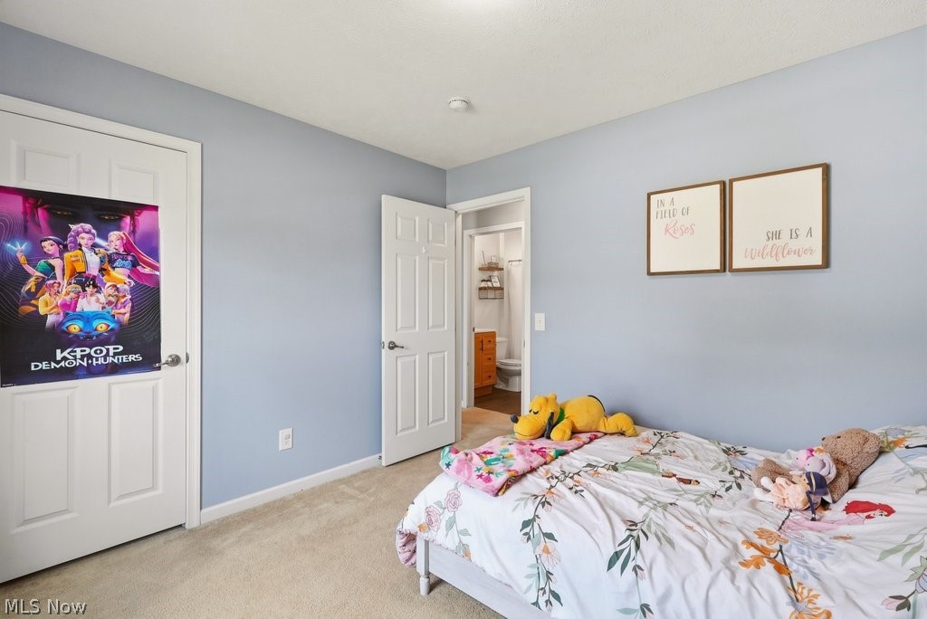 8815 Kelly Lane Streetsboro OH 44241