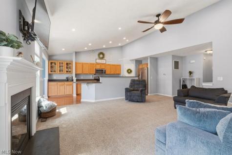 8815 Kelly Lane Streetsboro OH 44241