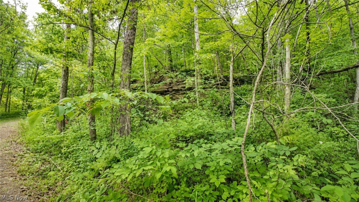 3368 Lowe Lane Mcconnelsville OH 43756