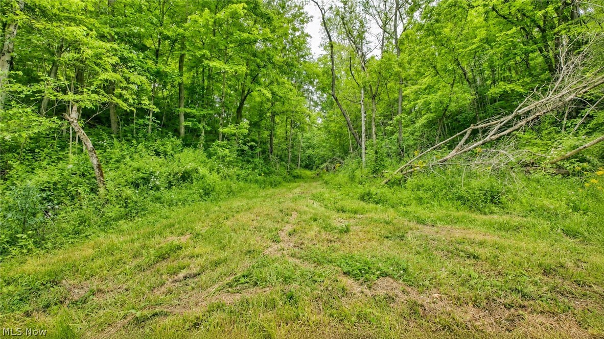 3368 Lowe Lane Mcconnelsville OH 43756