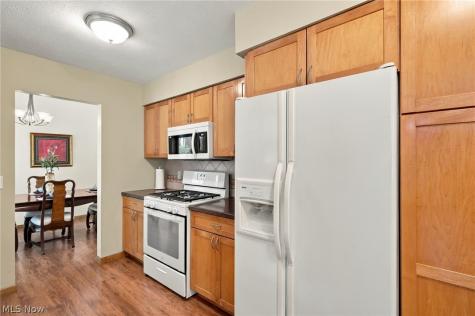 6338 Bryson Drive Mentor OH 44060