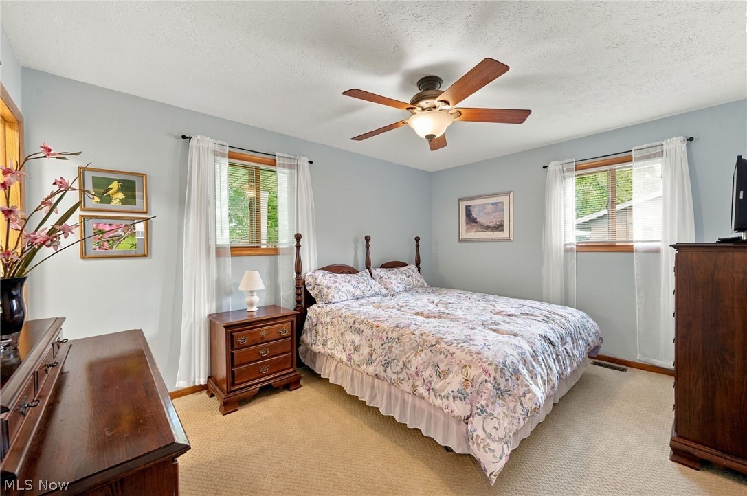 6338 Bryson Drive Mentor OH 44060