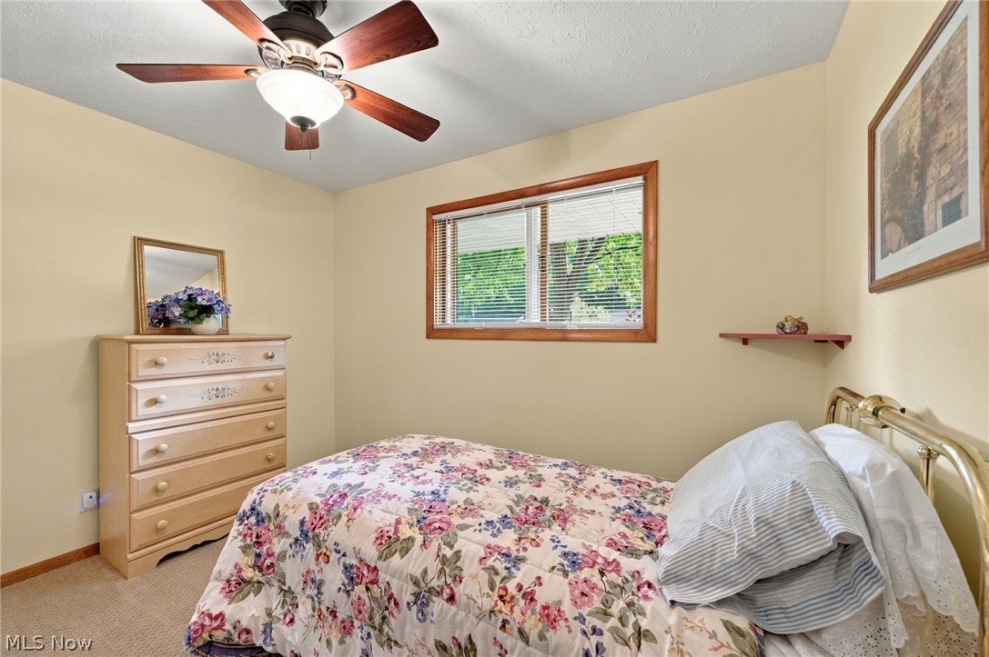6338 Bryson Drive Mentor OH 44060