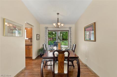 6338 Bryson Drive Mentor OH 44060