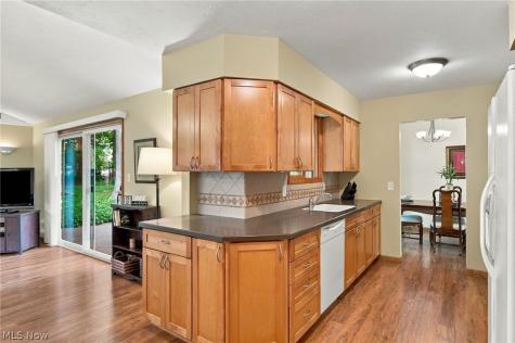 6338 Bryson Drive Mentor OH 44060