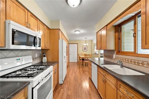 6338 Bryson Drive Mentor OH 44060