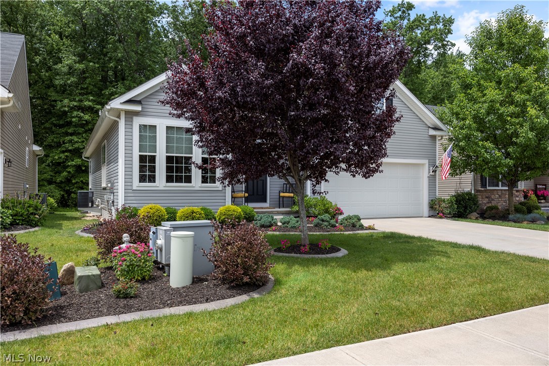 6560 Amber Way North Ridgeville OH 44039