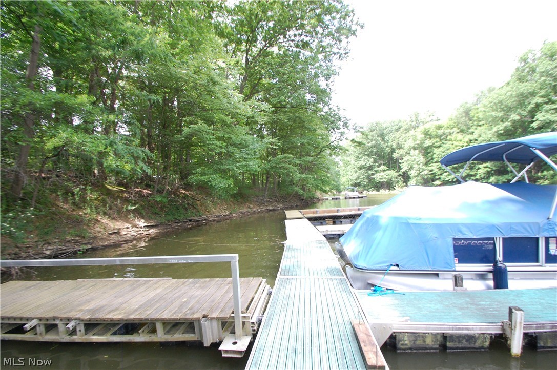 10029 Cummins Drive Deerfield OH 44411