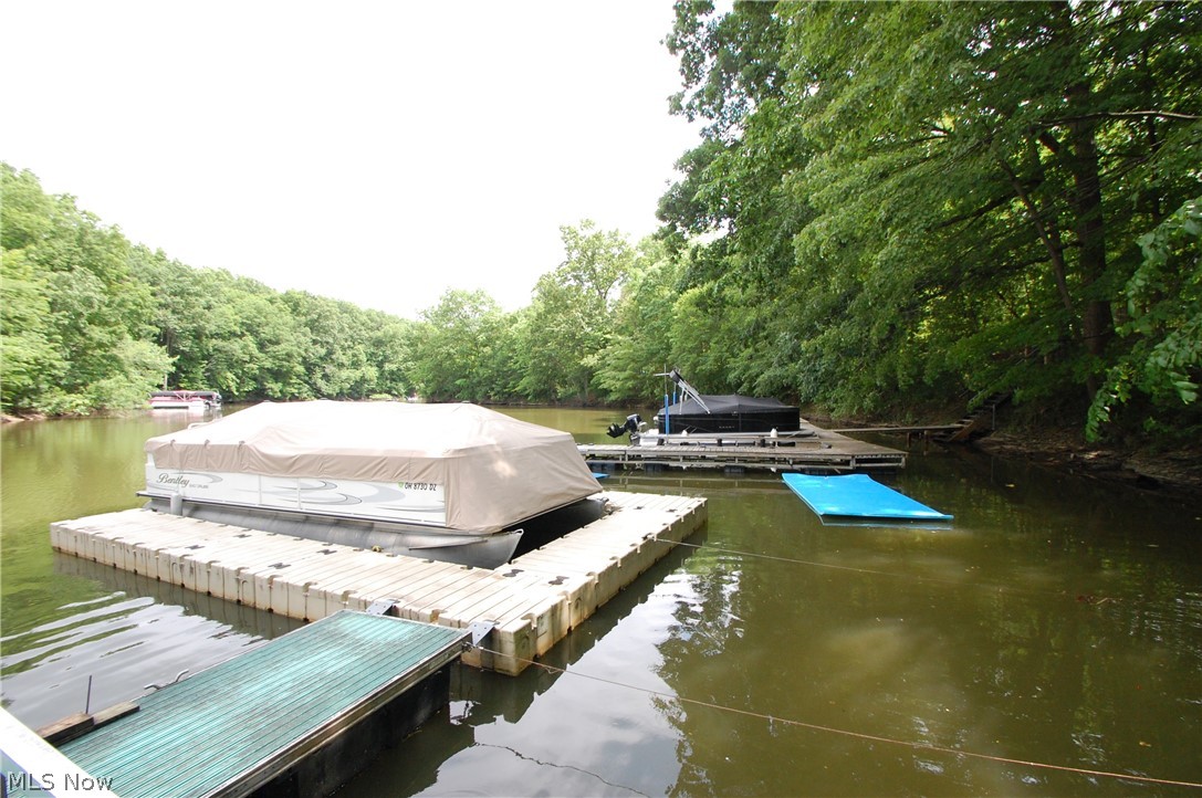 10029 Cummins Drive Deerfield OH 44411