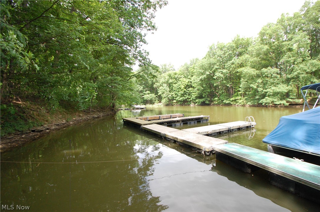 10029 Cummins Drive Deerfield OH 44411