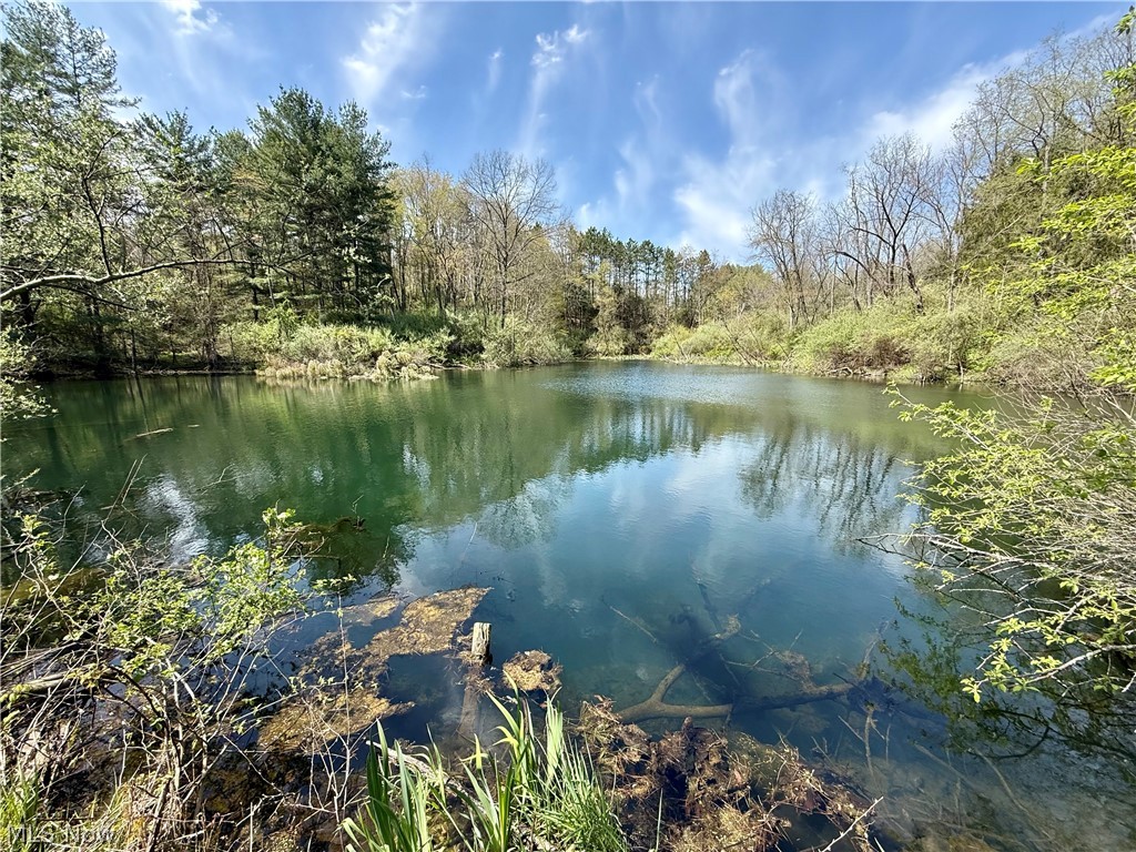 4101 Peace Road SE Carrollton OH 44615