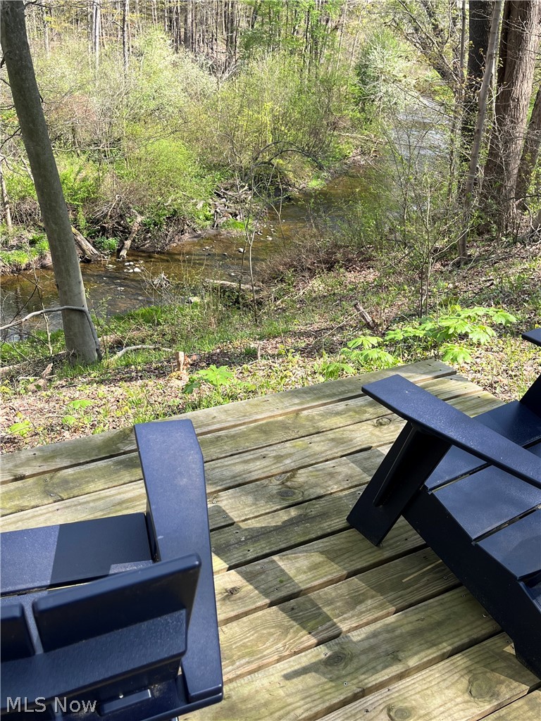 14125 Country River Lane Newbury OH 44065
