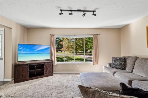 9001 Elm Street Mentor OH 44060